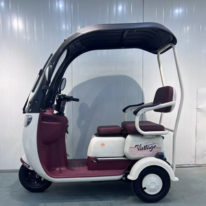 Sécurité de haute qualité et populaire trois roues <span class=keywords><strong>vélo</strong></span> électrique 2 <span class=keywords><strong>places</strong></span> <span class=keywords><strong>vélo</strong></span> électrique Tricycle électrique passager - Product Image 4