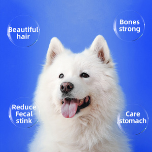 OEM ODE alta calidad delicioso alto en proteínas <span class=keywords><strong>mejor</strong></span> precio Ped comida <span class=keywords><strong>seca</strong></span> <span class=keywords><strong>para</strong></span> perros pienso <span class=keywords><strong>para</strong></span> perros - Product Image 6