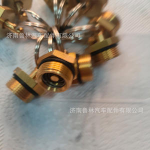 WG9000360115 Contrepoids pour vanne de vidange de réservoir d'air et clapet anti-retour pour camions Howo et Shaanxi Delong - Product Image 3