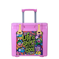 Glacière rigide personnalisée 50L, portable, en plastique, pour camping, pique-nique et voiture, avec barre télescopique épaissie, qui maintient la glace