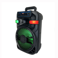 Subwoofers 10'' sans fil avec microphone, 20W, LED RGB, Bluetooth 5.0, micro intégré, télécommande, utilisation extérieure, système audio portable, batterie, application
