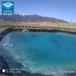 Chino 0.5mm0.75mm1.0mm hdpe construir <span class=keywords><strong>piscina</strong></span> Geomembrana de hoja de <span class=keywords><strong>precio</strong></span> por metro cuadrado - Product Image 3