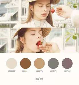 Manteaux en poudre polyester, plusieurs couleurs sont disponibles, idéal pour le lot de revêtements métalliques - Product Image 4