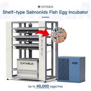 Incubadora Vertical Automática de Múltiples Niveles Tipo Estante para Huevos de Peces Salmonídeos, Tanque de Cría de Peces para Unidad de Incubación de Truchas y Salmones - Product Image 1