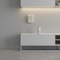 Diffuseur de parfum intelligent à piles, écologique, pour HVAC, capacité 300 ml, utilisation en extérieur pour hôtels, système d'aromathérapie pour toute la maison