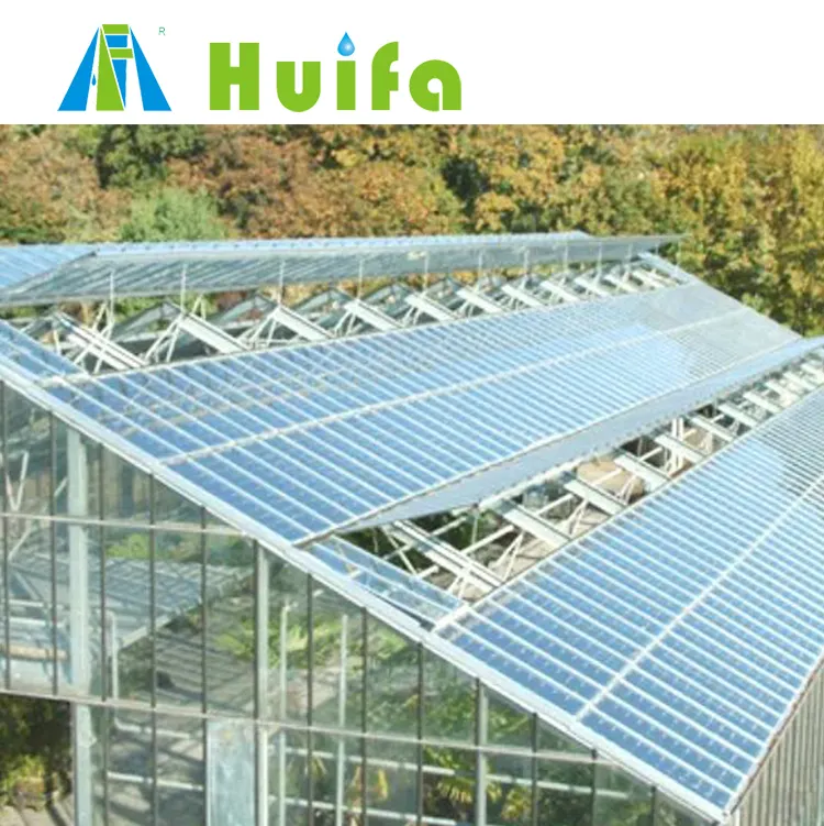 Smart Low Cost Galvanized Steel Frame Passive Solar Venlo Tempered Glass Greenhouses Agricultural