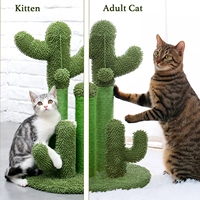 Vente en gros d'usine Entrepôt canadien Arbre à chat Cactus Poteau à gratter avec 3 boules pendantes de griffoir