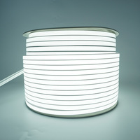 Guirlande lumineuse LED de jardin Jiuzhu Outdoor 12V IP67 10-10 avec bords en silicone, Wi-Fi et variateur de lumière 2200K-6000K