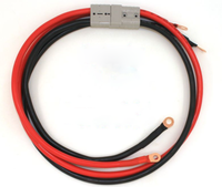 Cordon d'alimentation mâle-femelle TCEA 175A, connecteur de charge de batterie 2P, prise de câble, système d'alimentation solaire, laiton, PCB, IP66, 600V, résistant aux flammes
