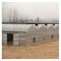Grande Serre Hydroponique pour la Culture de Fraises, Myrtilles et Légumes