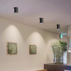 ไฟดาวน์ไลท์ LED สีดำอะลูมิเนียม 4100K สีขาวนวล 220V AC โคมไฟเพดานแบบฝัง แสงสว่างภายในอาคาร 110lm/w อายุการใช้งาน 50000 ชม. CRI 90 - Product Image 5