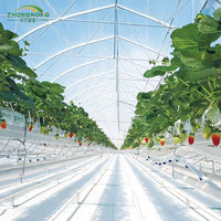 Serre agricole intelligente multi-chapelles 30x96m, grande serre hydroponique en verre à rideaux thermiques manuels, en promotion