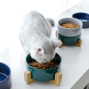 Bol d'alimentation à Sublimation pour animaux de compagnie, Double en céramique, pour chats et chiens, livraison directe d'<span class=keywords><strong>usine</strong></span> - Product Image 5