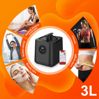 Générateur de vapeur de sauna électrique puissant de 3 l avec 9 niveaux de réglage de la température