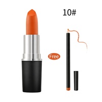 Crayon à lèvres haute pigmentation, marque privée, 2021, logo personnalisé, imperméable, mat, végan, 12 couleurs