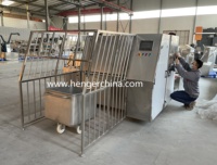 Laveuse à chariot haute pression automatique en acier inoxydable 304 de 200 L pour chariots à viande, idéale pour les usines de transformation alimentaire