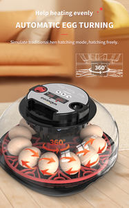 Mini incubateur à <span class=keywords><strong>œufs</strong></span> entièrement <span class=keywords><strong>automatique</strong></span> à économie d'énergie, capacité de <span class=keywords><strong>12</strong></span> <span class=keywords><strong>œufs</strong></span>, meilleure qualité avec contrôle de l'humidité - Product Image 5