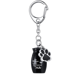 Urne pour animaux de compagnie en acier inoxydable porte-clés étanche patte de chien urne pendentif cendres souvenir pour les funérailles - Product Image 4
