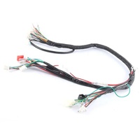 Harnais Hooha sur mesure pour ATV, faisceau de câbles avec connecteurs automobiles TE/Molex, isolation PBT UL1007, conducteurs en cuivre nu 12V