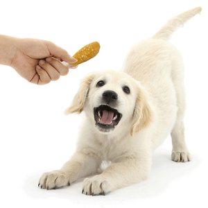 Wholesale Healthy <strong>Dog</strong> Cat Treats and Food High Protein Low Fat Calcium <strong>Bone</strong> with Chicken and Rice Pet Snacks - Product Image 2