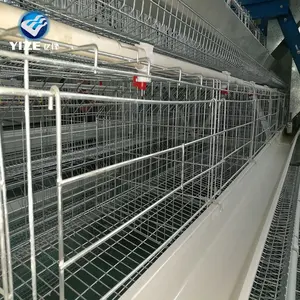 Cages semi-automatiques à 3/4 étages pour poulets en vente