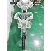 Vélo de plage 24 pouces vélo électrique adulte 800w 15Ah batterie au lithium-fer fourche avant à pression d'huile conduite en ville
