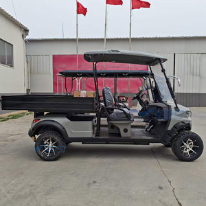 Voiturette de golf électrique de luxe, nouveau style, 2 places, pour clubs et terrains de golf, chariot à outils de golf, transport spécial. - Product Image 1