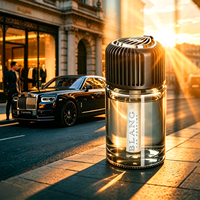 Coffret Cadeau Parfum de Voiture de Luxe Haut de Gamme Bouteille en Verre Liquide Désodorisant Longue Durée Parfum d'Ambiance 160ml