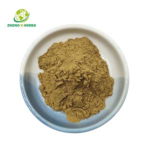 천연 유기농 은행나무 빌로바 추출물 24% 은행나무 플라보노이드 은행나무 빌로바 잎 추출물 분말 - Product Image 3