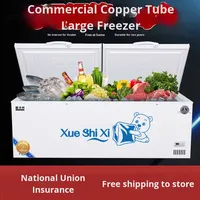 Réfrigérateur commercial à température unique Congélateur horizontal de grande capacité Fresh-Keeper avec processus de congélation à haute efficacité