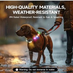 <span class=keywords><strong>Collar</strong></span> de perro <span class=keywords><strong>LED</strong></span> recargable por USB multicolor, tamaño cortable de TPU, <span class=keywords><strong>Collar</strong></span> brillante de arcoíris para perros grandes, medianos y pequeños que caminan por la noche - Product Image 2