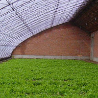 Serre verte isolée en zone froide Agriculture Serre solaire passive d'hiver commerciale