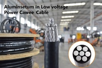 Kabel Daya Tegangan Rendah Multi Inti Aluminium YJLV YJLV22 VLV Berisolasi XLPE Berlapis PVC 0.6/1kV Penjualan Langsung Pabrik