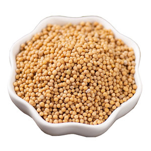 Vendita all'ingrosso di fabbrica di alta qualità condimenti da cucina semi di <span class=keywords><strong>senape</strong></span> giallo semi di <span class=keywords><strong>senape</strong></span> - Product Image 1