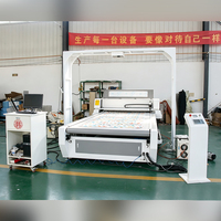 Machine de découpe laser CO2 à vision panoramique DETON1625, alimentation automatique, grand format, pour tissus et jouets en peluche