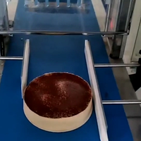 Machine de découpe automatique électrique à ultrasons Wanlisonic avec écran tactile, en acier inoxydable, haute sécurité, pour gâteaux et toasts