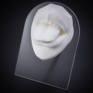 <b>Silicone</b> Tongue Mouth Model with Stand Piercing Practice Jewelry Display Tool for Body Piercing Shop - Product Image 6