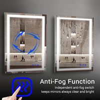 Miroir de salle de bain à LED avec 24 pouces x 36 pouces 36 x 48 pouces Anti-buée Mémoire 3 couleurs Double miroir de salle de bain intelligent à LED pour projet de villa hôtel