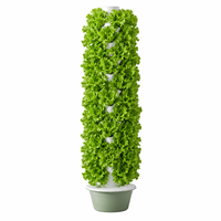 Systèmes de culture verticale en tour pour la culture hydroponique sans sol de fraises et de laitues, 13 niveaux