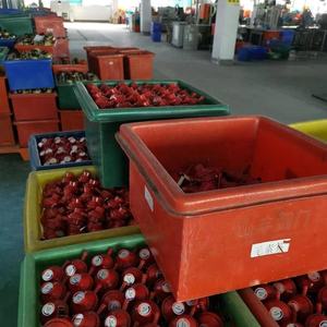 Chine Source Usine Vente Chaude Coffre-fort 35mm Entrée 3/8 "Taille De <span class=keywords><strong>Sortie</strong></span> Sud-Américain Rouge <span class=keywords><strong>Double</strong></span> Clip lpg Régulateur De Gaz - Product Image 2