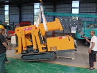 Mini-grue araignée automotrice robuste pour murs-rideaux en verre et levage extérieur toutes saisons
