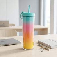 Bouteille d'eau à double paroi en PC 700 ml avec paille anti-fuite, tasse de sport CPC pour les voyages en plein air