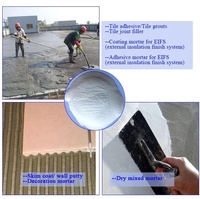 Poudre de polymère redispersable en copolymère d'éthylène-acétate de vinyle (VAE) de marque BOTAI pour la construction, auto-nivelante et à haute teneur en solides