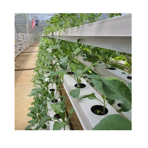 Serre hydroponique plantation <span class=keywords><strong>gouttière</strong></span> <span class=keywords><strong>PVC</strong></span> hydroponique nft canal tuyaux pour la culture <span class=keywords><strong>de</strong></span> la laitue - Product Image 1