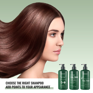 Etiqueta privada <span class=keywords><strong>Natural</strong></span> Orgánico Bio Queratina Colágeno Anti-Pérdida de cabello Nutritivo y Champú para el cabello de árbol de té - Product Image 2