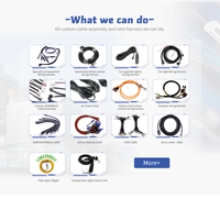 Lesun kawat lampu mobil profesional, dari 1 cara ke 2 cara pencahayaan mobil Harness lampu depan