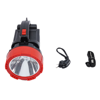 Lampe de poche rechargeable pour camping, éclairage professionnel à LED d'urgence
