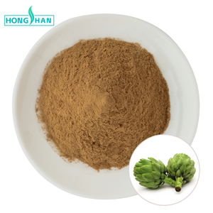 Lebensmittelqualität Natürlicher Artischockenblattextrakt 5% Cynarin Pulver CAS 1182-34-9 - Product Image 1