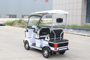 Nuevo Autobús Turístico de 6 Plazas, Carro de Golf para Club de Caza, Buggy de Golf - Product Image 3