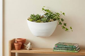 Maceta Moderna Autoadhesiva de Polipropileno Plástico para Colgar en la Pared, para Uso en Centros Comerciales y Jardines Domésticos - Product Image 5